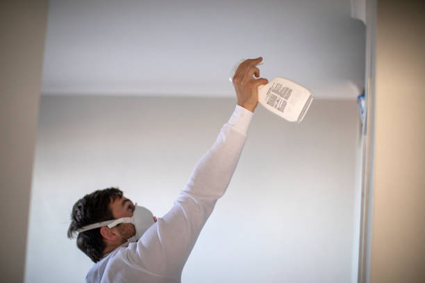 Best Industrial Mold Remediation in Riviera Beach, MD