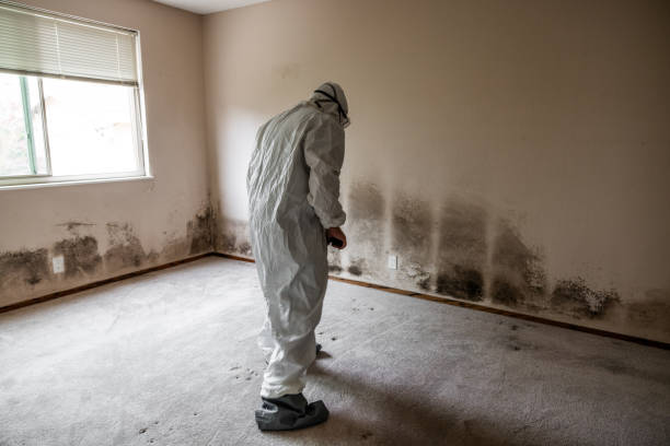 Best Industrial Mold Remediation in Riviera Beach, MD